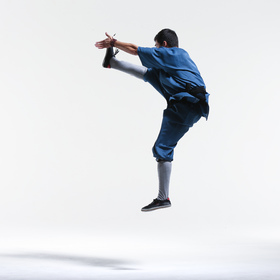 Wushu 2 — figure reference
